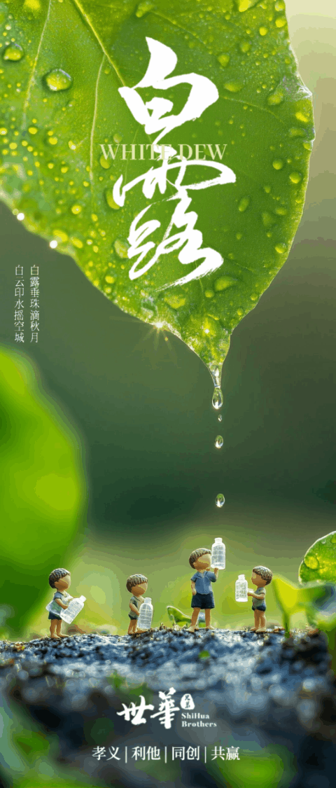 白露 AI 动态海报
