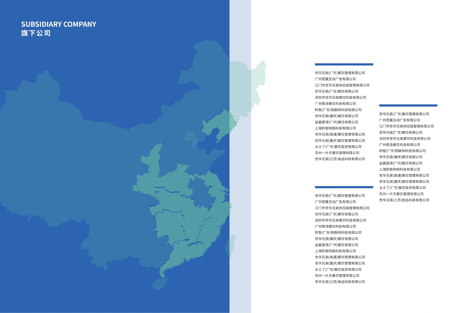 品牌画册精选内页:下属公司