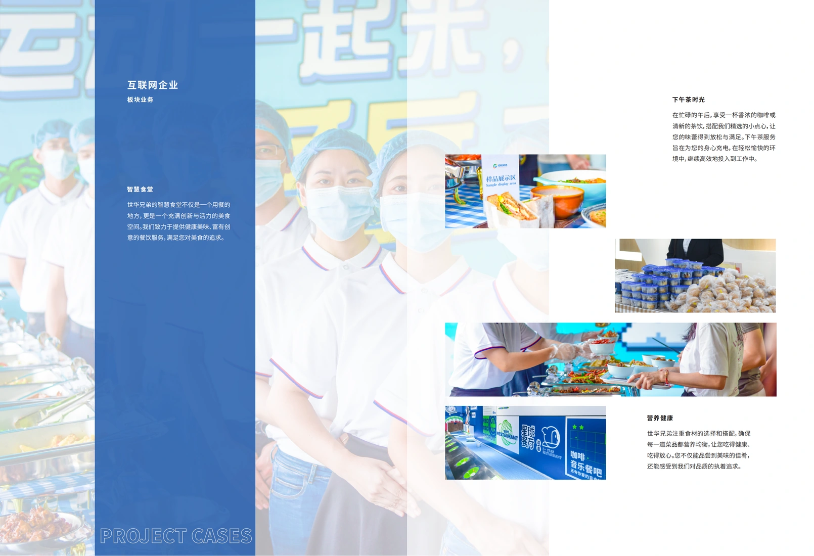 品牌画册精选内页:项目案例三